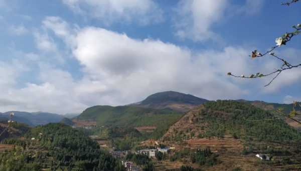 川滇明珠，会东特色农产品有哪些插图1