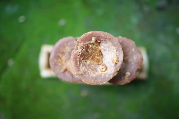 川滇明珠，会东特色农产品有哪些插图11