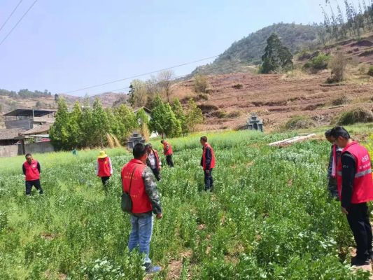 会东，会东新闻资讯（会东网最新动态）插图5