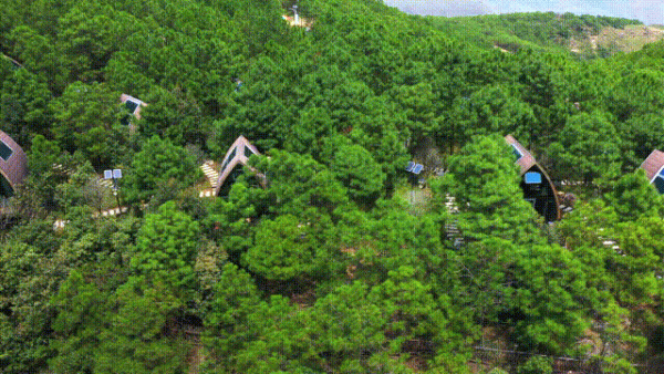 川滇明珠之行插图2 川滇明珠之行插图2