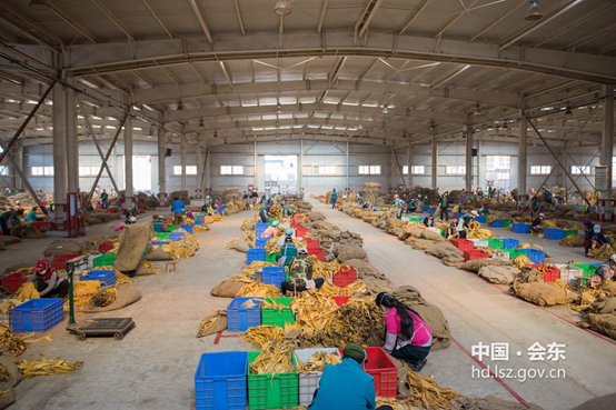 川滇明珠，会东特色农产品有哪些插图
