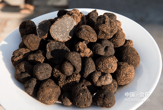 川滇明珠，会东特色农产品有哪些插图2