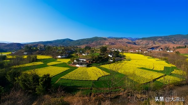 川滇明珠大地迎来烂漫春光插图