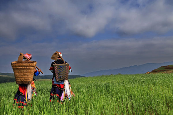 川滇明珠，会东特色农产品有哪些插图8