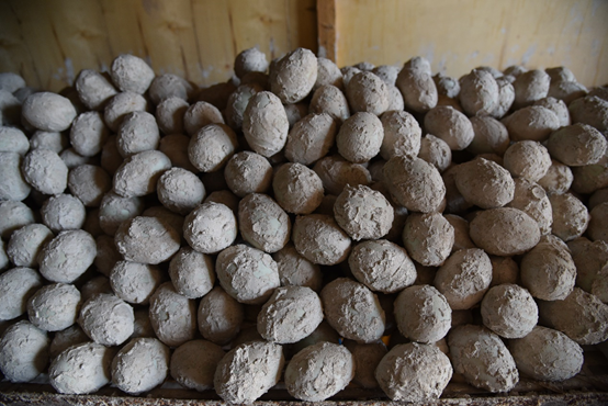 川滇明珠，会东特色农产品有哪些插图10