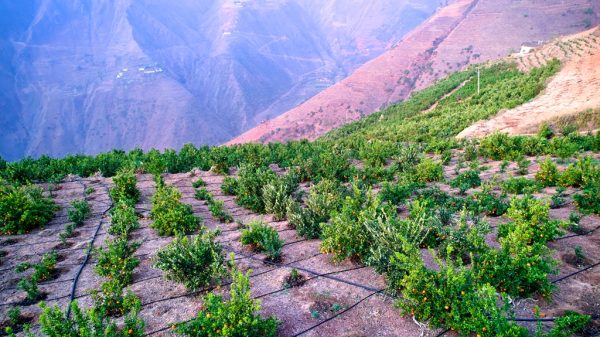 川滇明珠，一山分四季，十里不同天插图2