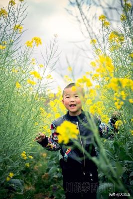 川滇明珠大地迎来烂漫春光插图1