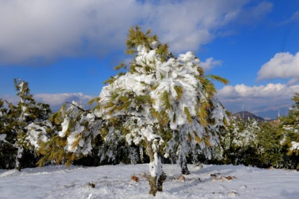 会东为什么叫川滇明珠？插图