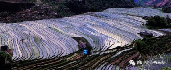 川滇明珠之行插图1 川滇明珠之行插图1