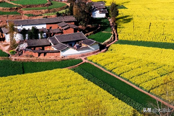 川滇明珠大地迎来烂漫春光插图3