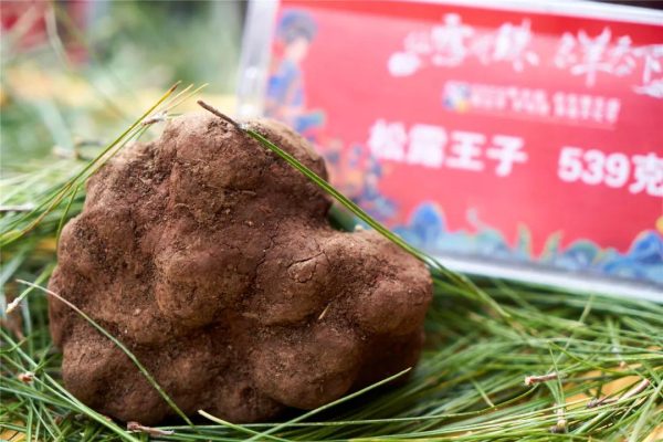 川滇明珠|会东县双黑节美食文化节2020插图25 川滇明珠|会东县双黑节美食文化节2020插图25