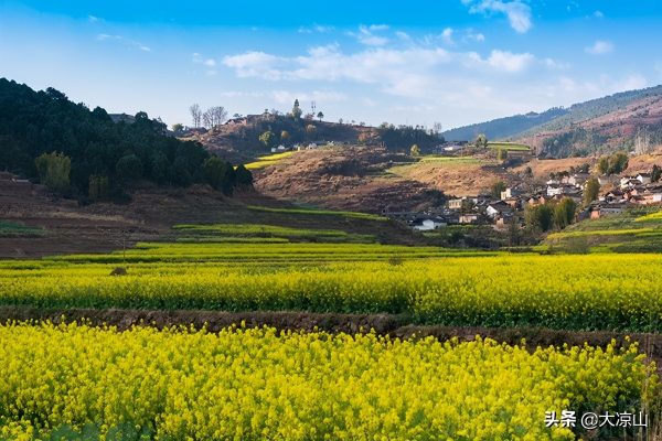 川滇明珠大地迎来烂漫春光插图4