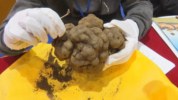 川滇明珠，君峰风景区插图17