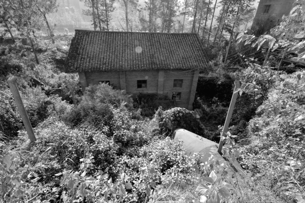 川滇明珠|会东图片(会东县新农村建设图片)插图4 川滇明珠|会东图片(会东县新农村建设图片)插图4