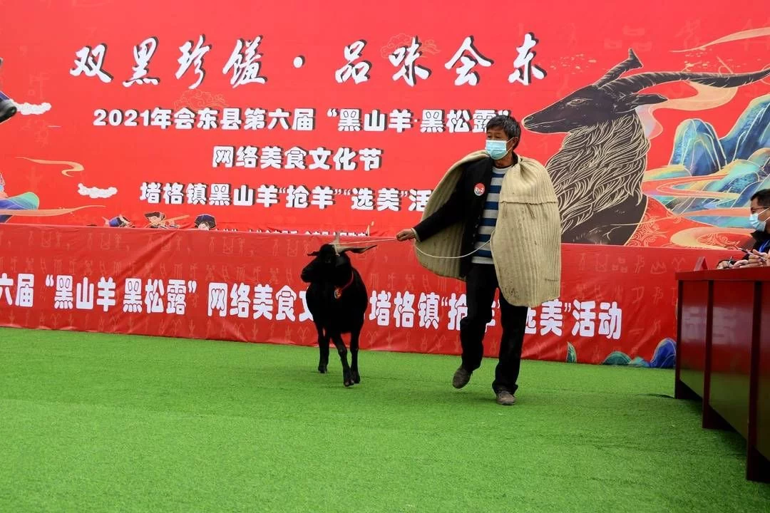 快来qio！四川会东“美羊羊”和“喜羊羊”谁更美？插图1
