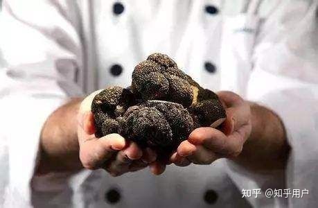 会东美食（土特产）推荐插图