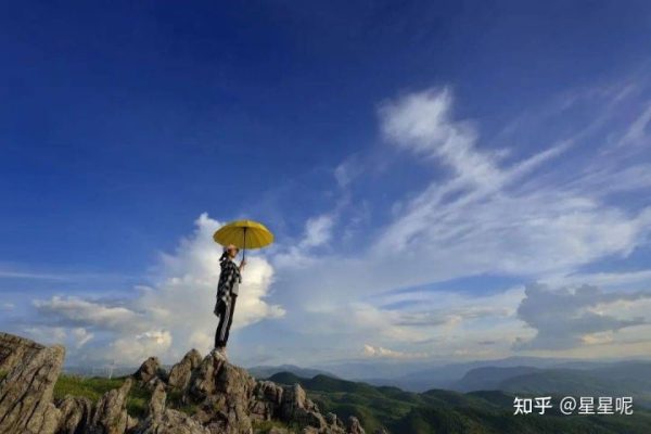 双黑珍馐凉山会东县双黑美食文化节超强来袭（2021年）插图1