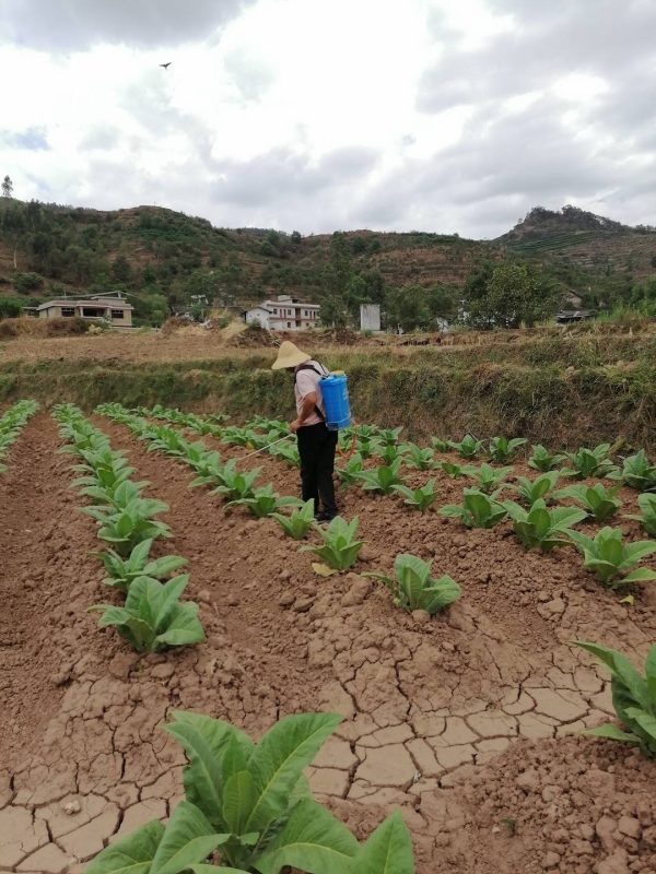 会东县财政收入,会东县2021年10.37亿插图1 会东县财政收入,会东县2021年10.37亿插图1
