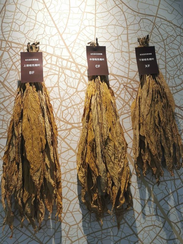 会东县财政收入,会东县2021年10.37亿插图 会东县财政收入,会东县2021年10.37亿插图