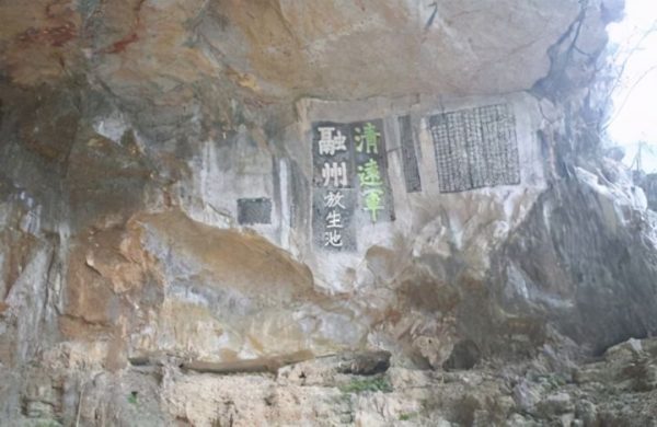 川滇明珠|会东老君洞“世界滩王”却鲜为人知插图2