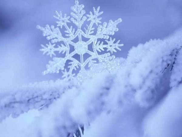 川滇明珠|会东，一捧雪琉璃时光插图