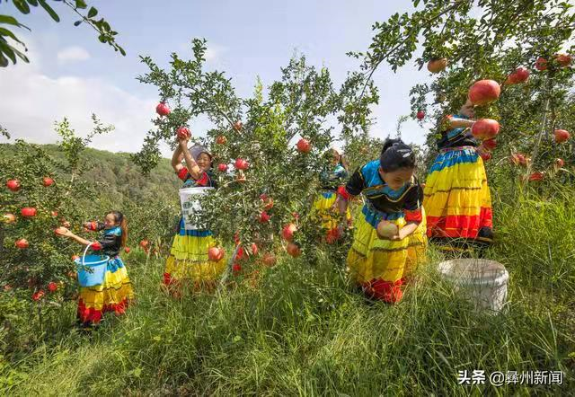 川滇明珠会东网:凉山一共有17个县级市!插图9 川滇明珠会东网:凉山一共有17个县级市!插图9