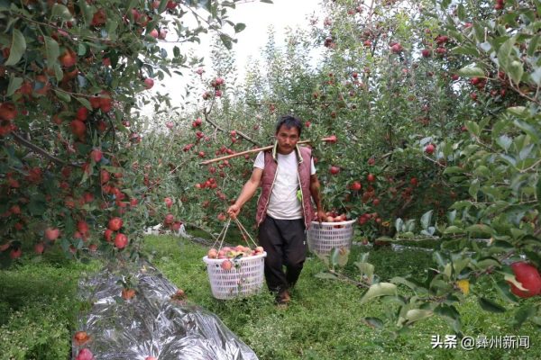 川滇明珠会东网:凉山一共有17个县级市!插图28 川滇明珠会东网:凉山一共有17个县级市!插图28