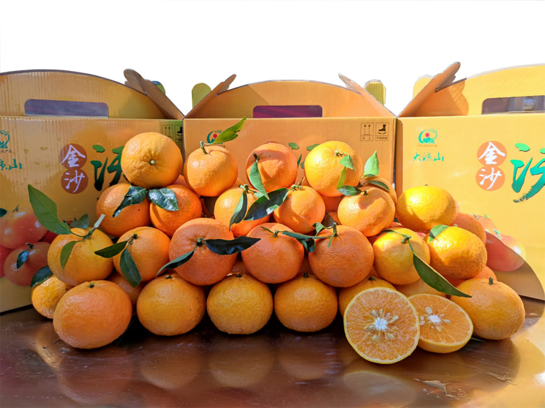 川滇明珠网，金果果盛装插图3