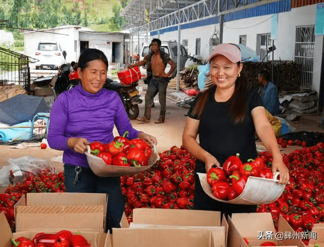 川滇明珠会东网:凉山一共有17个县级市!插图24 川滇明珠会东网:凉山一共有17个县级市!插图24