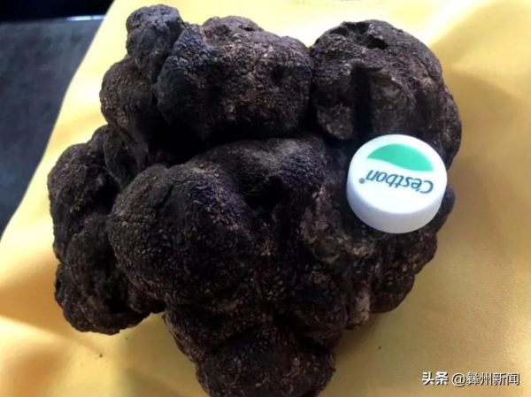 川滇明珠会东网:凉山一共有17个县级市!插图14 川滇明珠会东网:凉山一共有17个县级市!插图14