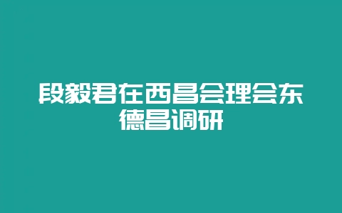 段毅君在西昌会理会东德昌调研-会东网