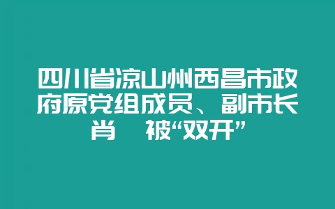 四川省凉山州西昌市政府原党组成员、副市长肖斌被“双开”-会东网
