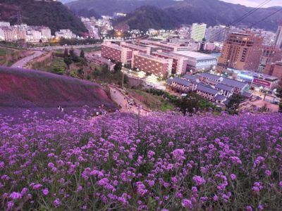 川滇明珠旅游,会东县獭猫山公园插图1