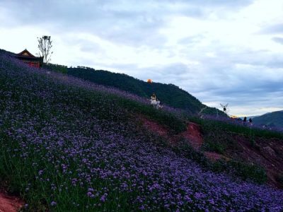 川滇明珠旅游,会东县獭猫山公园插图3