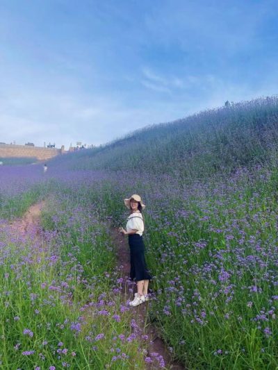 川滇明珠旅游,会东县獭猫山公园插图7