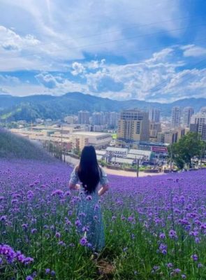 会东县经济发展如何（会东县有钱吗）？插图2