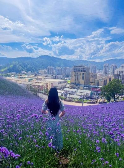 川滇明珠旅游,会东县獭猫山公园插图6