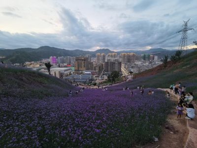 川滇明珠旅游,会东县獭猫山公园插图8