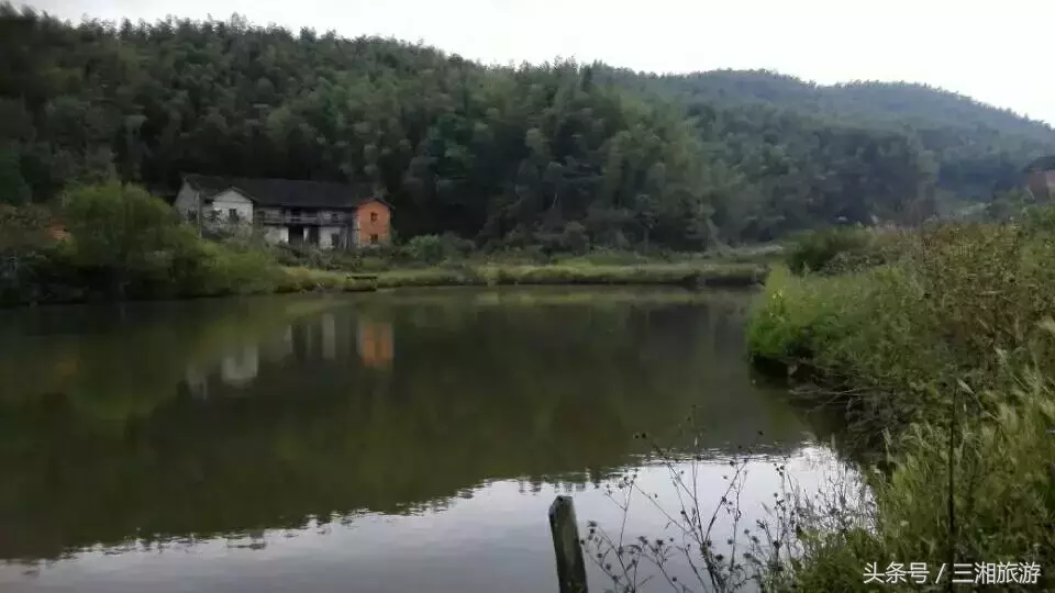 我老家是个千年古镇，除了油菜花，还有很多美景！插图17