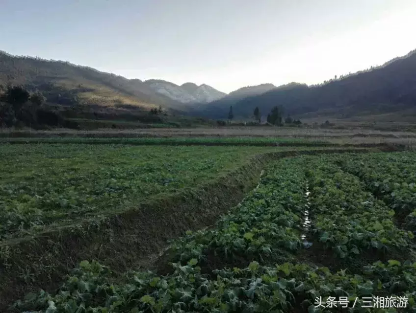 我老家是个千年古镇，除了油菜花，还有很多美景！插图5