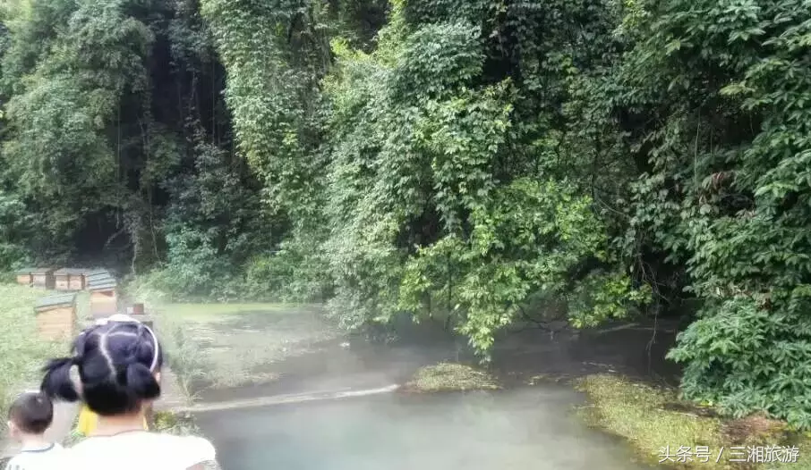 我老家是个千年古镇，除了油菜花，还有很多美景！插图13