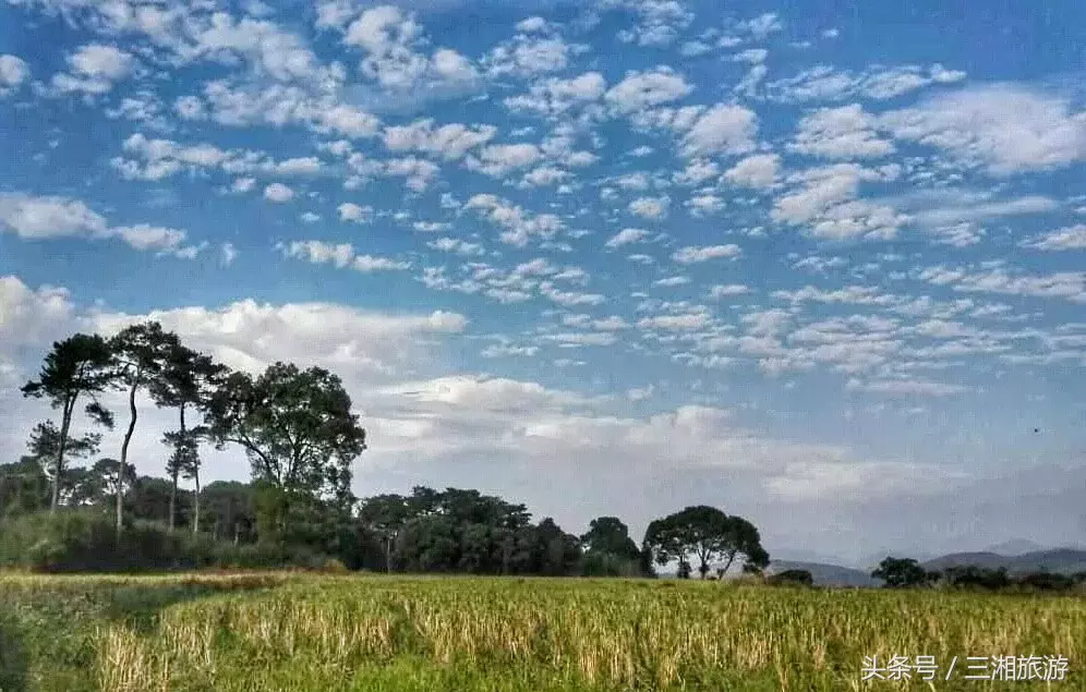 我老家是个千年古镇，除了油菜花，还有很多美景！插图3