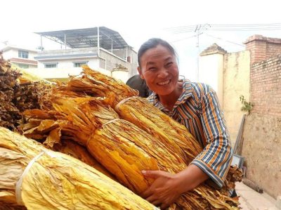 会东县土特产（会东县特色农产品）？插图1