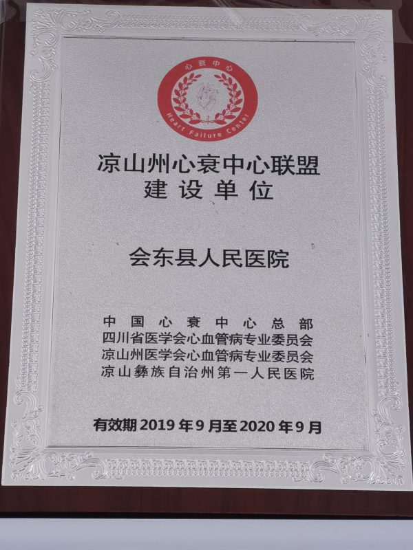 会东县胸痛中心一病例在全国分享交流插图3 会东县胸痛中心一病例在全国分享交流插图3