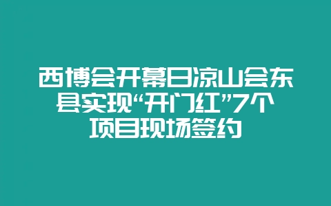 西博会开幕日凉山会东县实现“开门红”7个项目现场签约-会东网