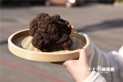 会东县第三届“双黑”美食文化节即将开幕插图5