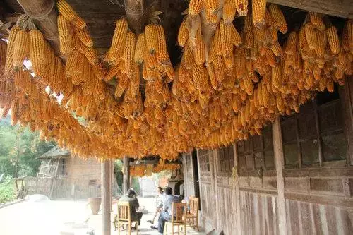 作文写美丽会东美食美景（会东县关于美食作文）插图1