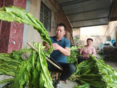 会东县土特产（会东县特色农产品）？插图