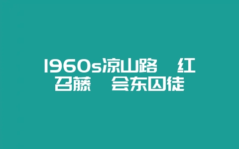 1960s凉山路・红召藤・会东囚徒插图 1960s凉山路・红召藤・会东囚徒插图