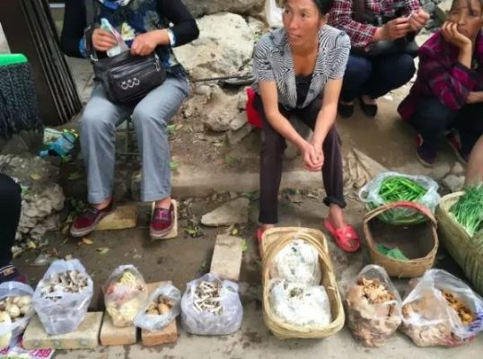 会东县乡镇经济排名(会东县整体经济实力综合)-会东网